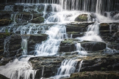 Pearson-Falls-7.2.22-0053