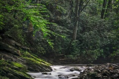 Pisqah-National-Forest-7.2.22-0097