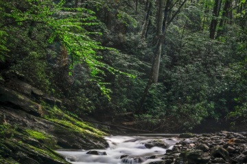 Pisqah-National-Forest-7.2.22-0097