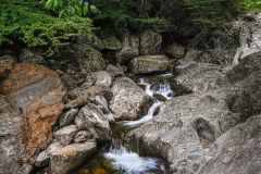 Sunburst-Falls-7.2.22-0070