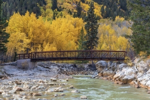 Fall-Bridge-9.28.25-9341