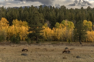 RMNP-9.26.25-9197