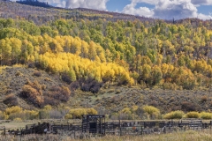 OK-Corral-9.28.25-9355