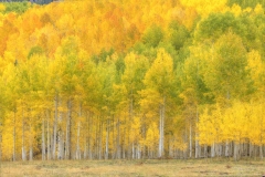 Owl-Creek-9.29.25-4604