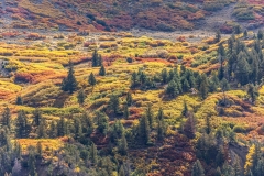 Owl-Creek-9.29.25-4805