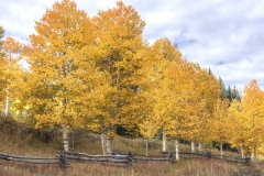 Owl-Creek-9.29.25-9457
