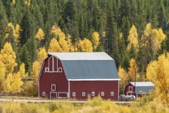 Barn-9.28.25-4580