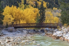 Fall-Bridge-9.28.25-9341