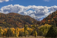 Fall-Foliage-9.27.25-9368