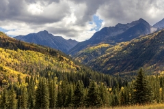 Fall-Foliage-9.28.25-9352