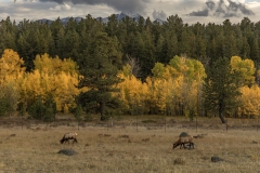 RMNP-9.26.25-9197
