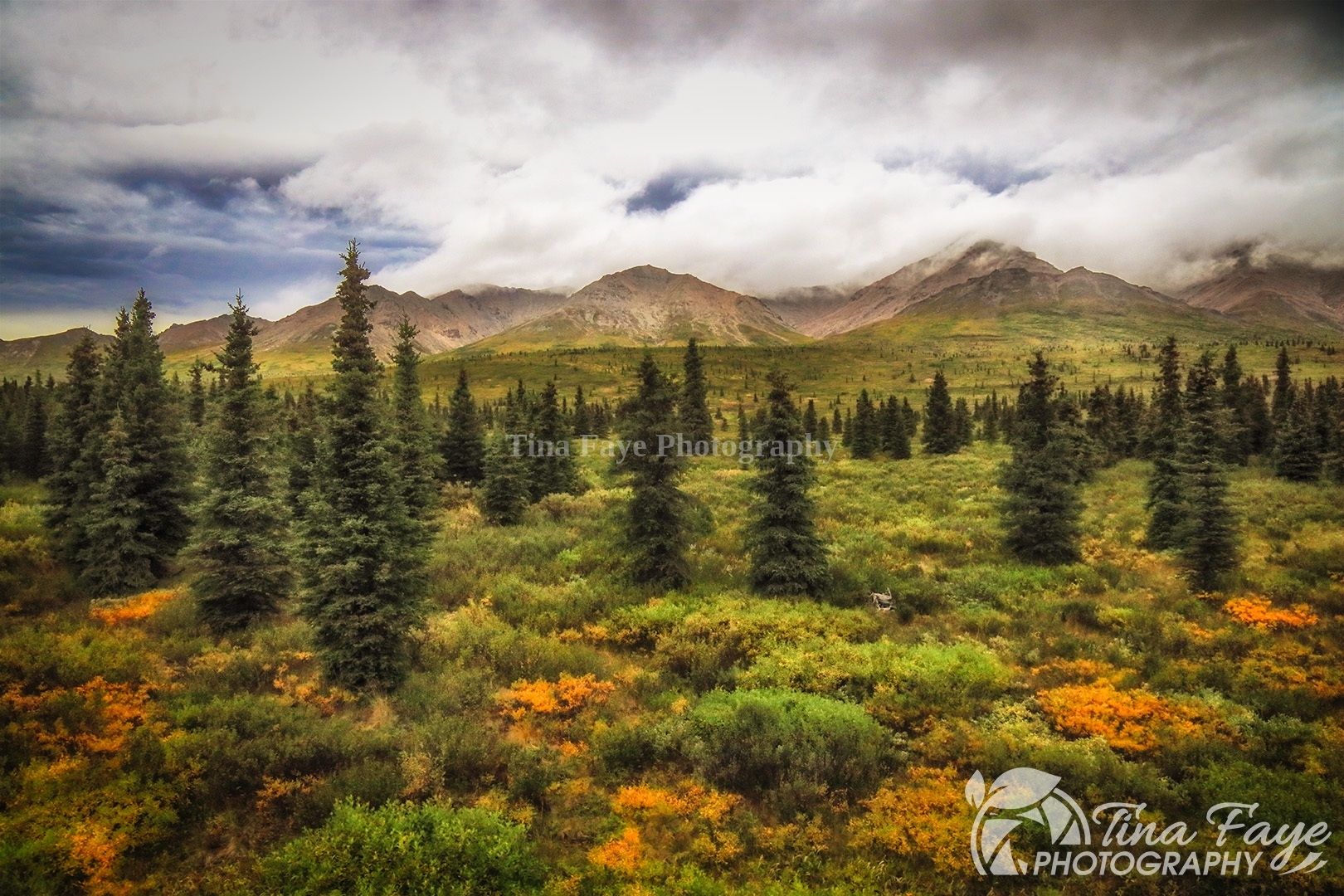Denali-8.26.23-0267-qc