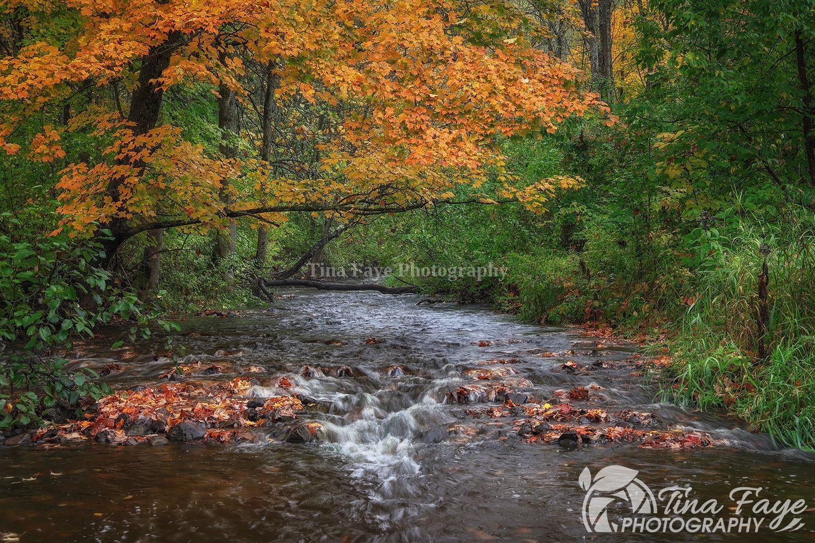 Fall-Stream-9.30.23-3880-qc