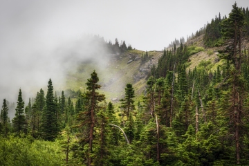 GNP-08.22.21-0142