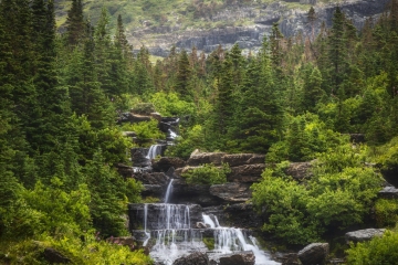 GNP-8.22.21-0152