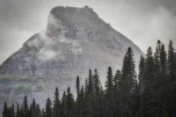 GNP-8.22.21-0153