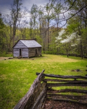 Alex-Cole-Cabin-4.23.21.3