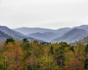 Cades-Cove-4.25.21