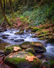 Cades-Cove-Waterfall-10.22.21-0897