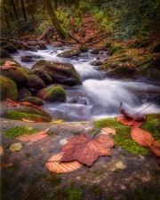 Cades-Cove-Waterfall-10.22.21-0898