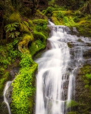 Cades-Cove-Waterfall-4.25.21.2