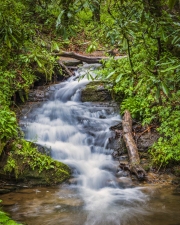 Cades-Cove-Waterfall-4.25.21.5