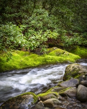 Cades-Cove-Waterfall-4.25.21.6