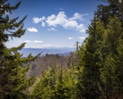 Clingmans-Dome-4.25.21.2