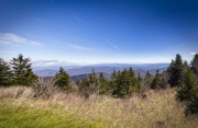 Clingmans-Dome-4.25.21