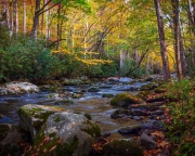 Elkmont-10.22.21-0918-1