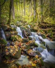 Newfound-Gap-Waterfall-10.23.21-1027