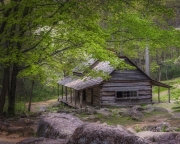 Olge-Homestead-4.23.21
