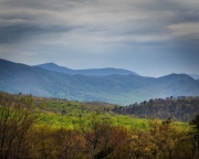 Roaring-Fork-view-4.23.21.2