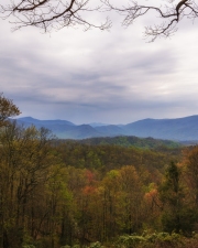 Roaring-Fork-view-4.23.21.3