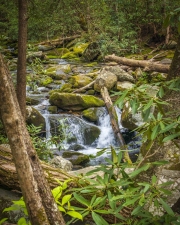 Roaring-Fork-waterfall-4.23.21.4