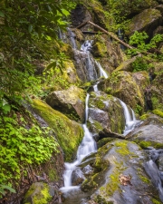 Roaring-Fork-waterfall-4.23.21.5