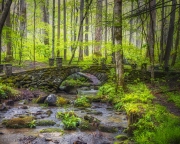 Troll-Bridge-4.24.21.3