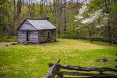 Alex-Cole-Cabin-4.23.21.3