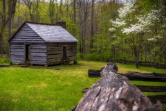 Alex-Cole-Cabin-4.23.21.5