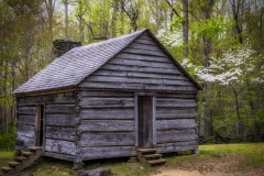 Alex-Cole-Cabin-4.23.21