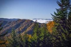 Blue-Ridge-Parkway-10.23.21-0977