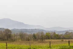 Cades-Cove-4.23.21