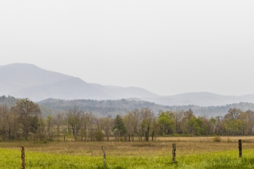 Cades-Cove-4.23.21