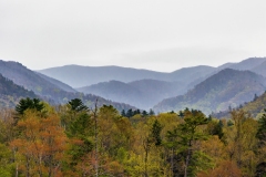 Cades-Cove-4.25.21