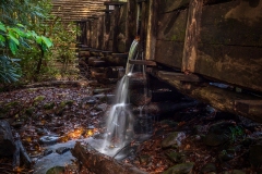 Cades-Cove-Gist-Mill-10.22.21-0871