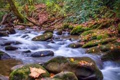 Cades-Cove-Waterfall-10.22.21-0897