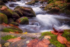 Cades-Cove-Waterfall-10.22.21-0898