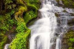 Cades-Cove-Waterfall-4.25.21.2