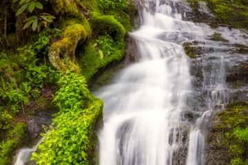 Cades-Cove-Waterfall-4.25.21.2