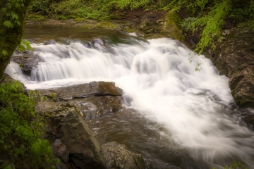 Cades-Cove-Waterfall-4.25.21.4